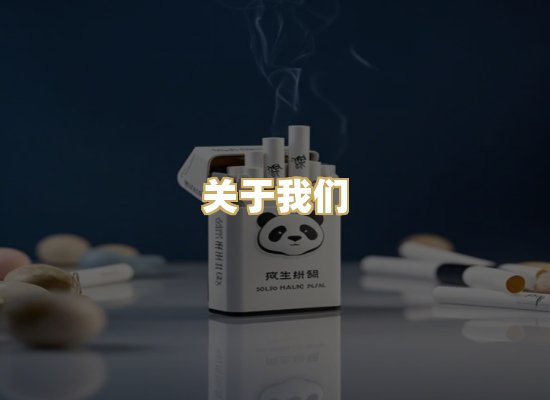 关于我们